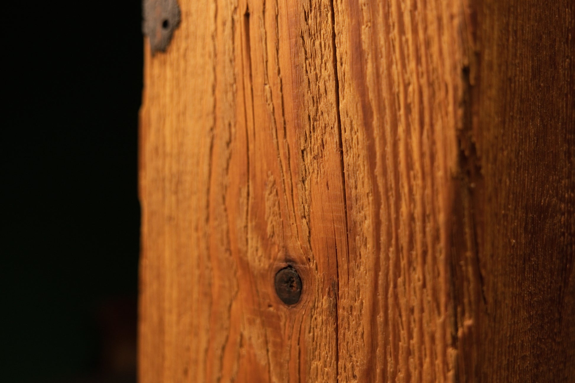 Close view of a distinct dark structural knot centered on a floor-heating compatible architectural timber revealing true grain.   