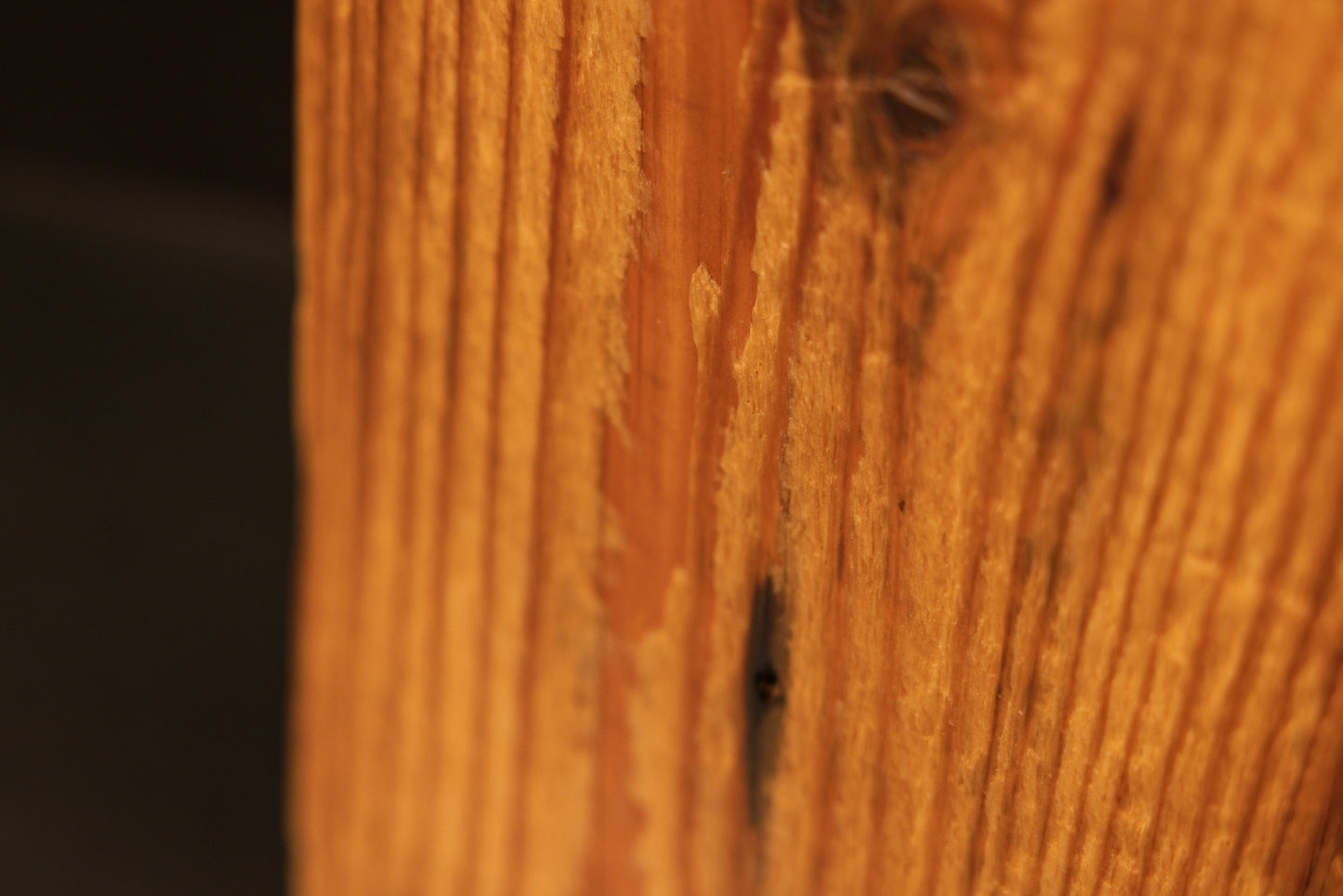Macro detail of smooth straight vertical grain on a resin-free structural timber element engineered for luxury design spaces.   