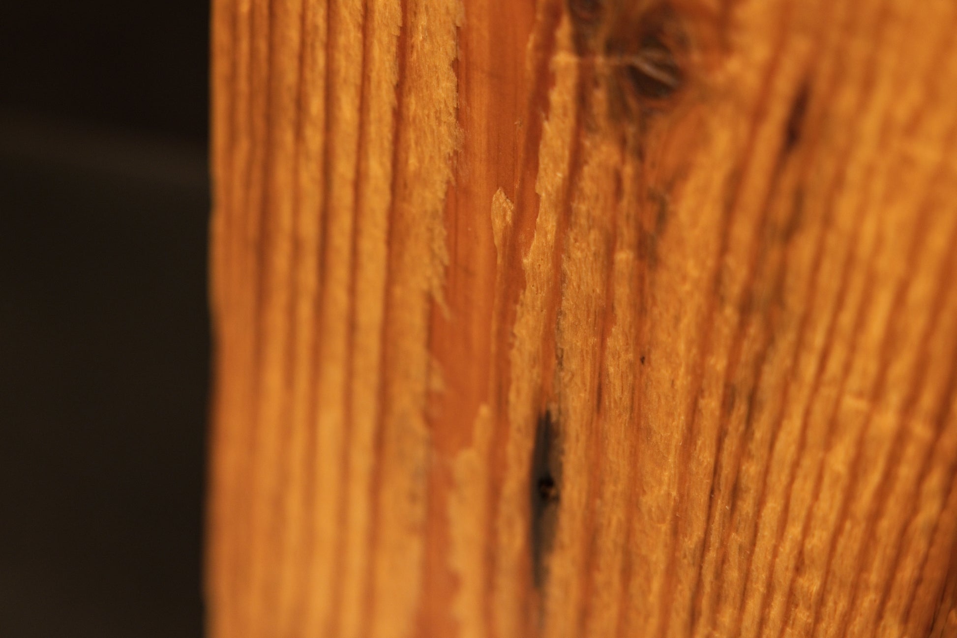 Macro detail of smooth straight vertical grain on a resin-free structural timber element engineered for luxury design spaces.   