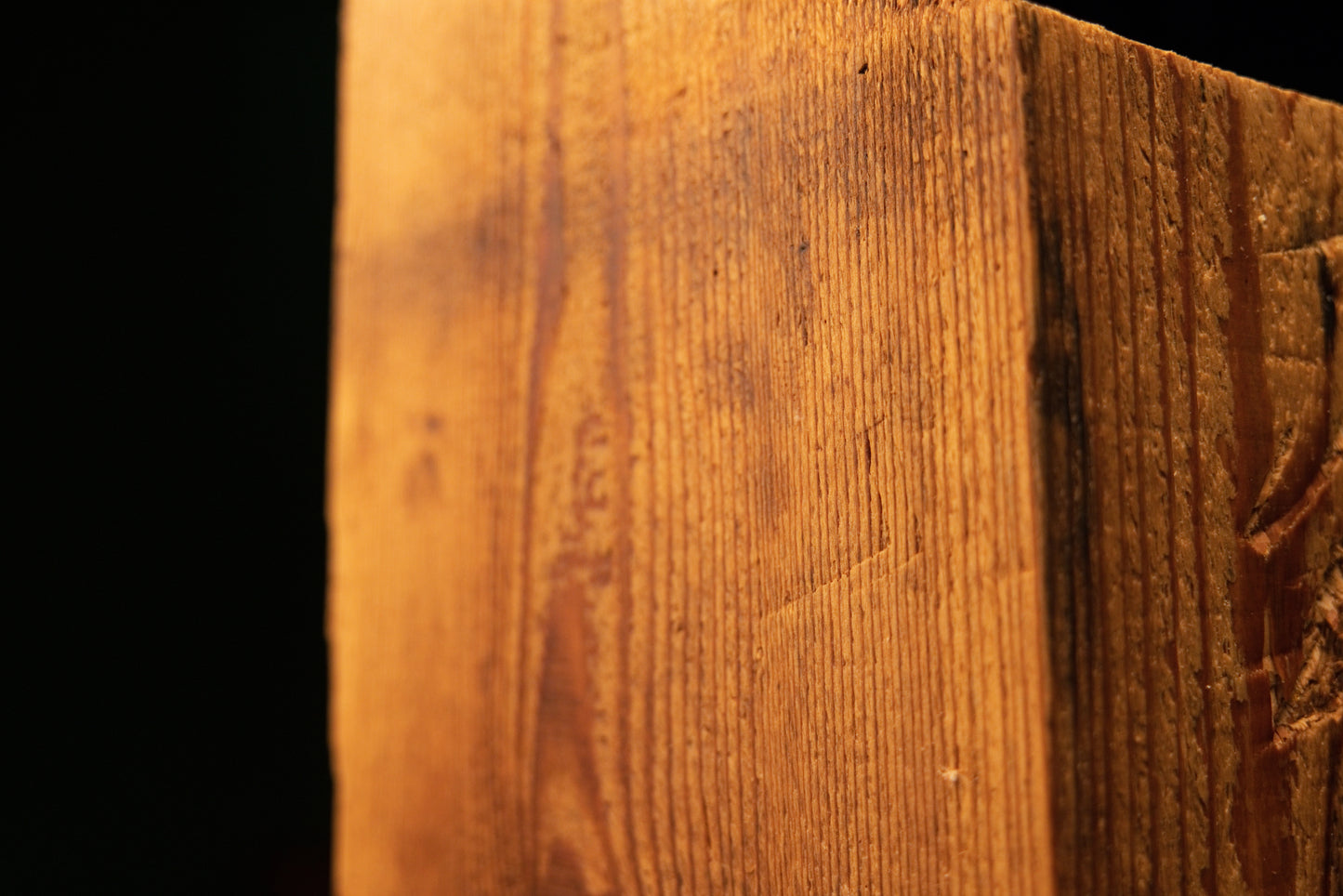 Detailed lower corner view of a thick-cut structural timber slab highlighting deep soil mineral absorption and true wood tones.   