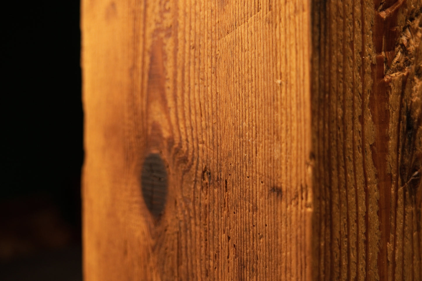 Close-up focus on a circular dark joinery void in a museum-grade architectural beam showcasing zero maintenance liability.   