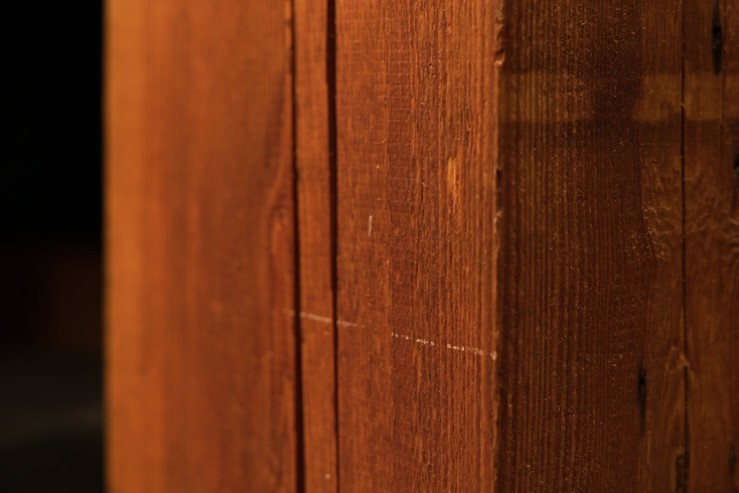 Extreme close-up of a stabilized vertical wood check inside a thick-cut structural timber slab showing raw botanical textures.[cite: 1, 3]