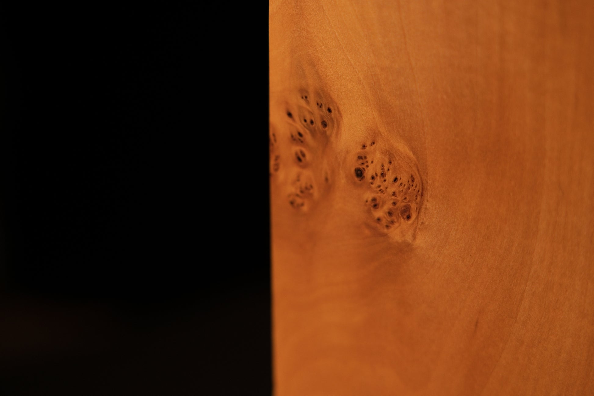 Base corner macro showing a diagonal stabilized natural wood check on the polished face of a biophilic architectural element.   