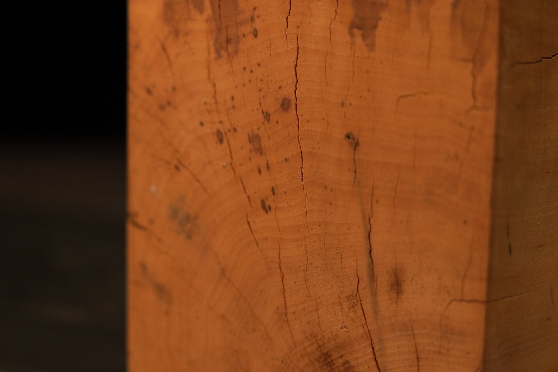 Angled rear profile of the climate-stable structural wood block showcasing a smooth flat cut and a flowing organic side.   