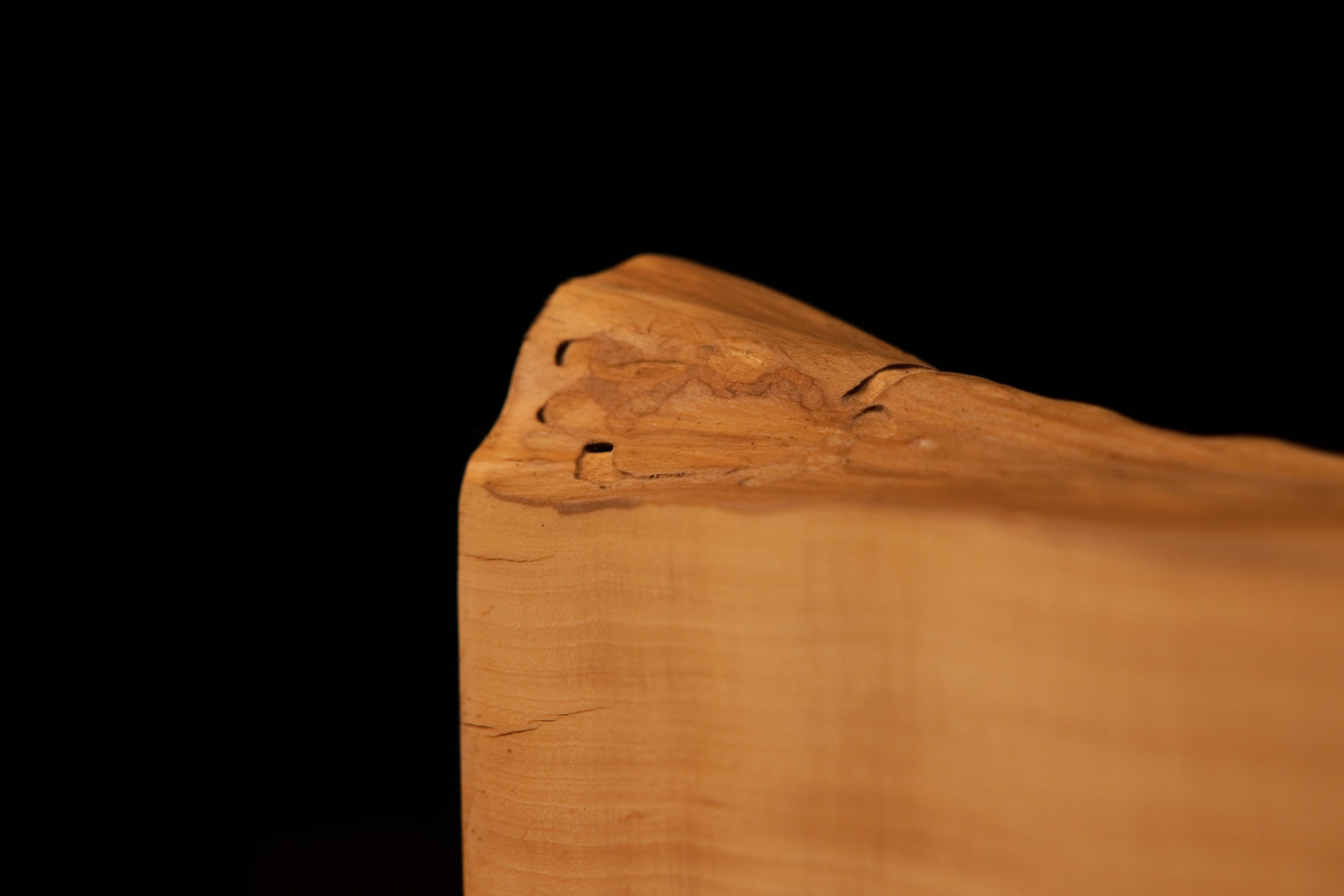 Extreme base corner detail of a floor-heating stable wood block showcasing prominent dark growth rings and a smooth flat cut.   