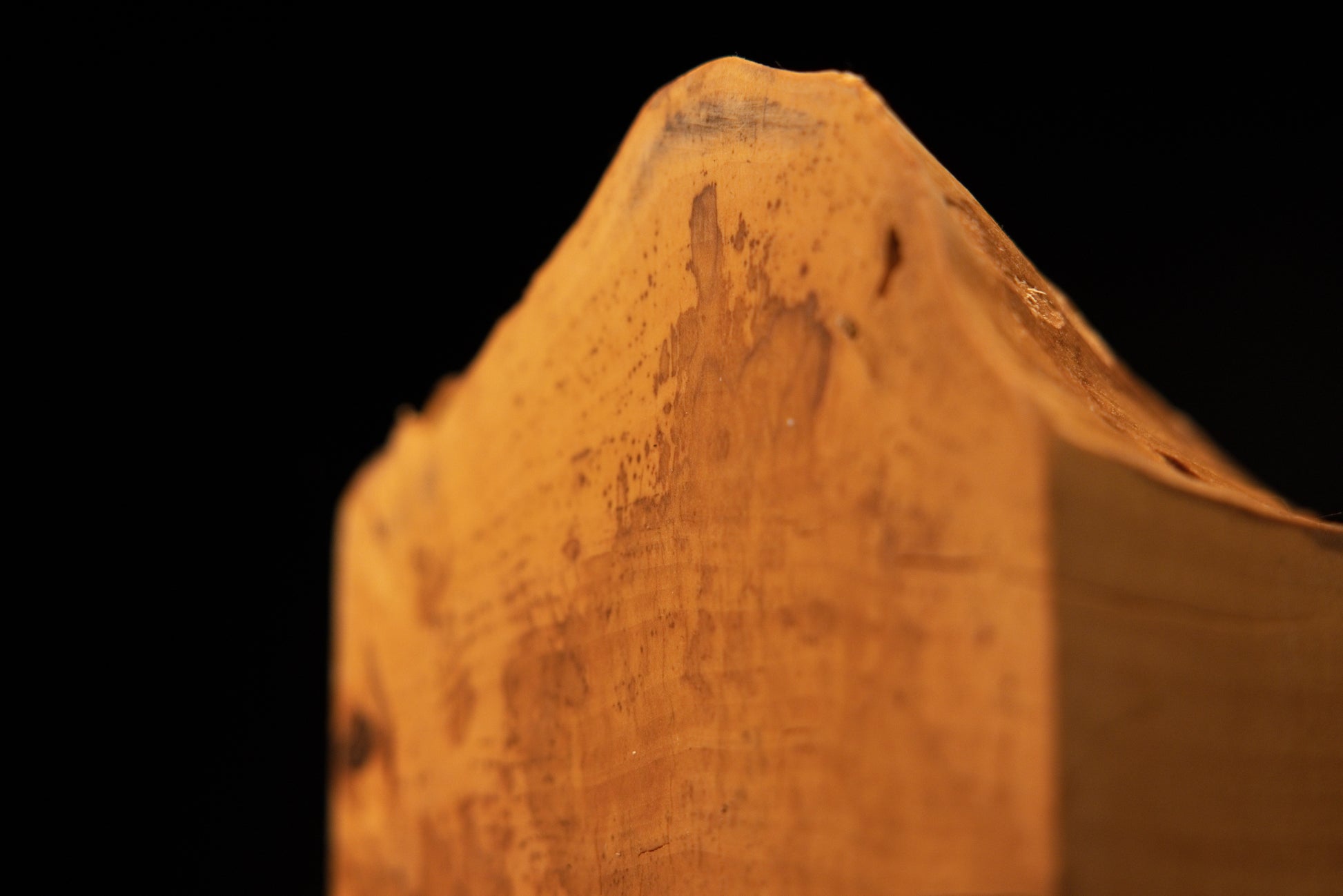 Extreme close-up of the flowing organic edge on a museum-grade botanical monolith demonstrating unreplicable chaotic geometry.   