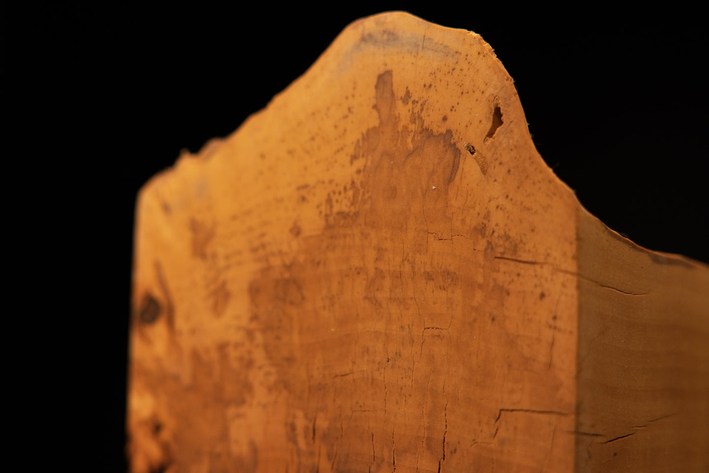 Top edge macro of the polished botanical heritage slab highlighting smooth dimensional stability and subtle biological marks.   