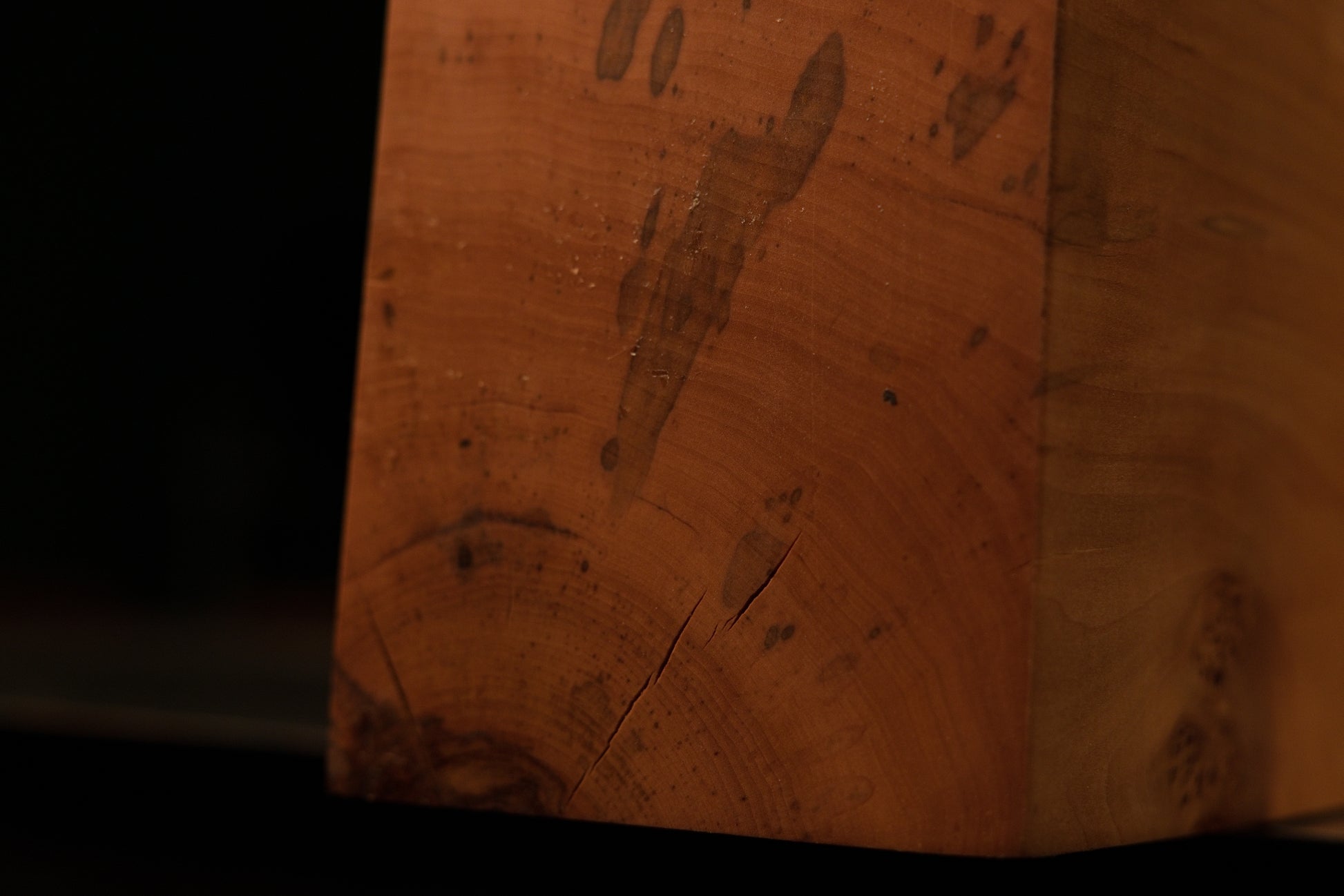Close detail on the smooth upper surface of a biophilic architectural element displaying authentic grain and hairline checks.   