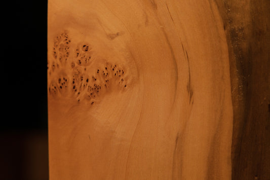 Front angled view of a tall botanical wood shelf element displaying smooth golden surfaces and a wavy organic architectural edge.   