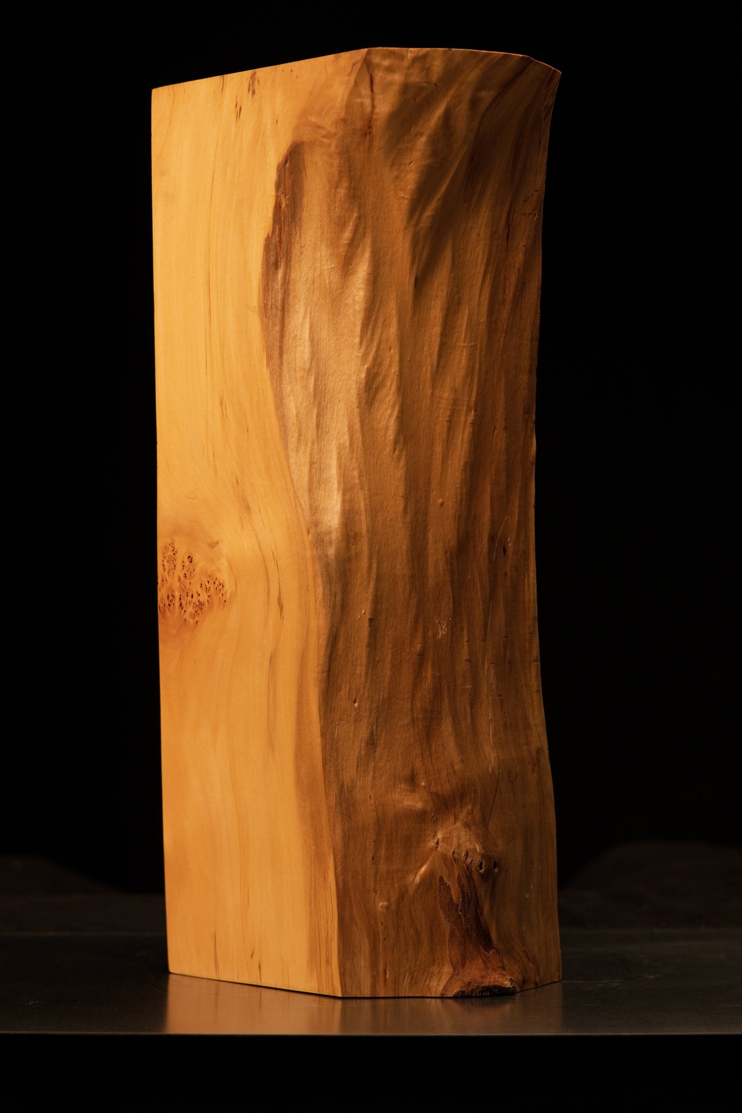Top edge profile of a digital twin ready botanical structural block highlighting the transition to a wavy biophilic surface.   