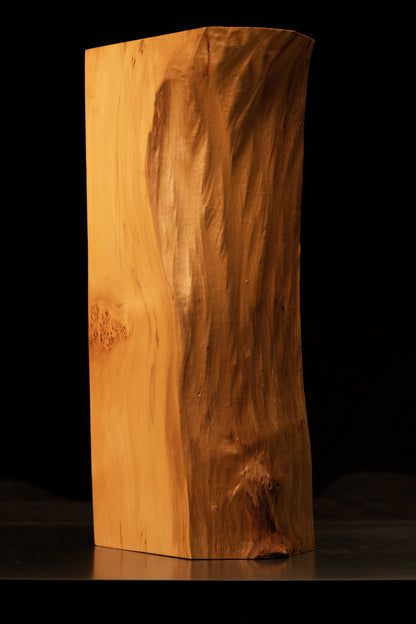 Top edge profile of a digital twin ready botanical structural block highlighting the transition to a wavy biophilic surface.   