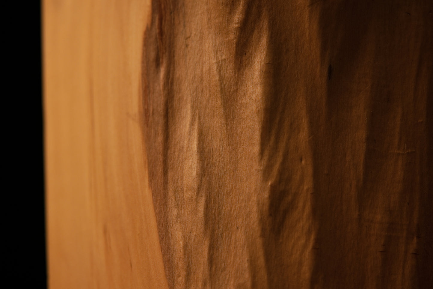 Extreme close-up of a small structural knot and stabilized horizontal check inside an epoxy-free architectural timber element.   