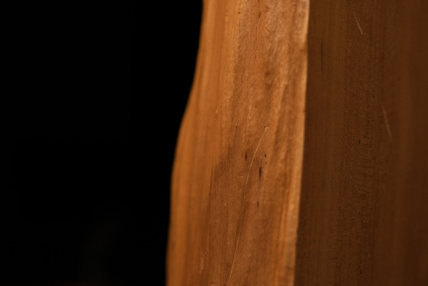 Lower section macro of the sculpted architectural wood block revealing deep cellular grain patterns and a dark organic knot.   