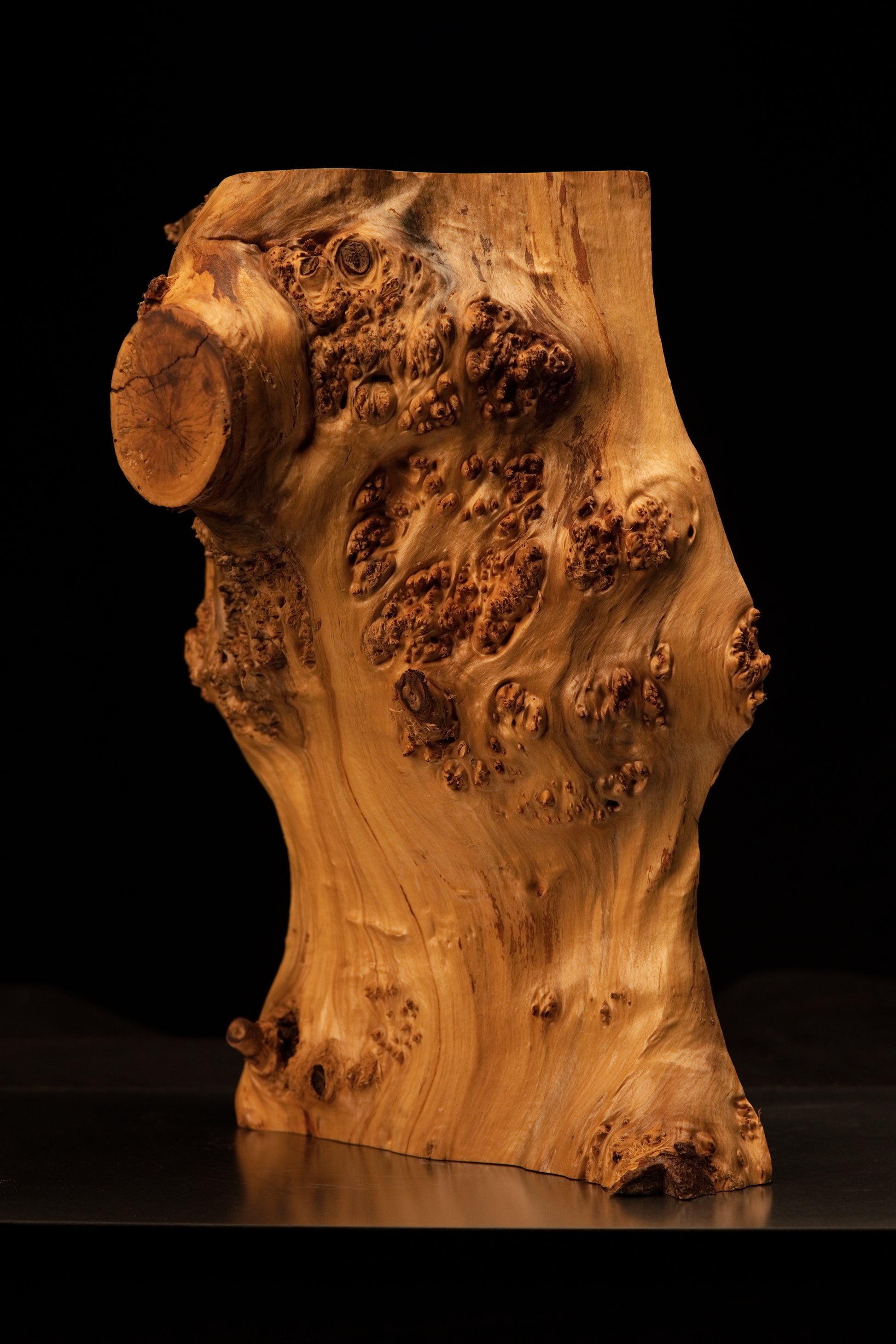 Detailed macro photograph capturing a large textured wood knot anchoring the bottom corner of the organic burl art piece.   