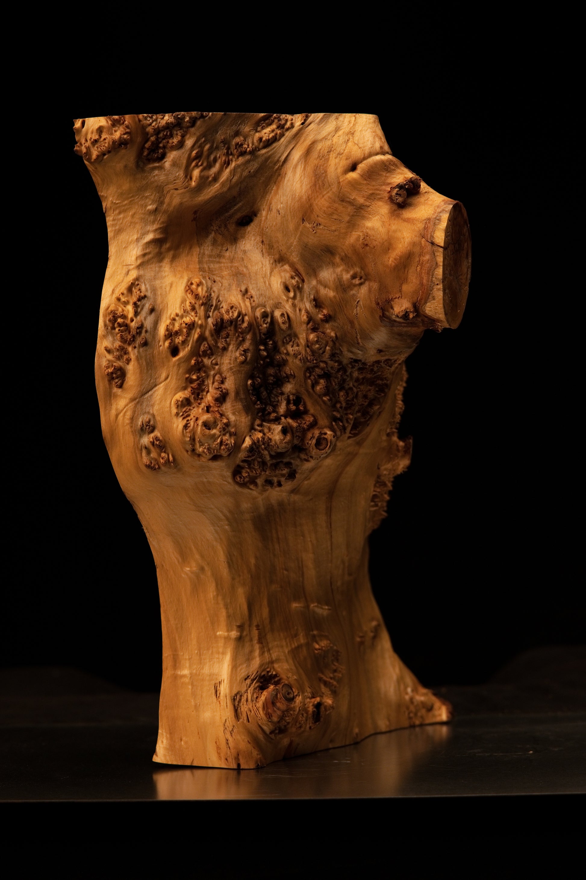 Detailed low angle perspective view of the wooden burl base resting flat against a metallic surface in warm studio light.   