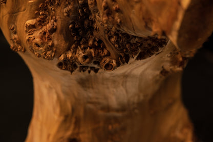 Detailed close-up macro perspective view of smooth golden wood contours fading gracefully into deep background shadows.   