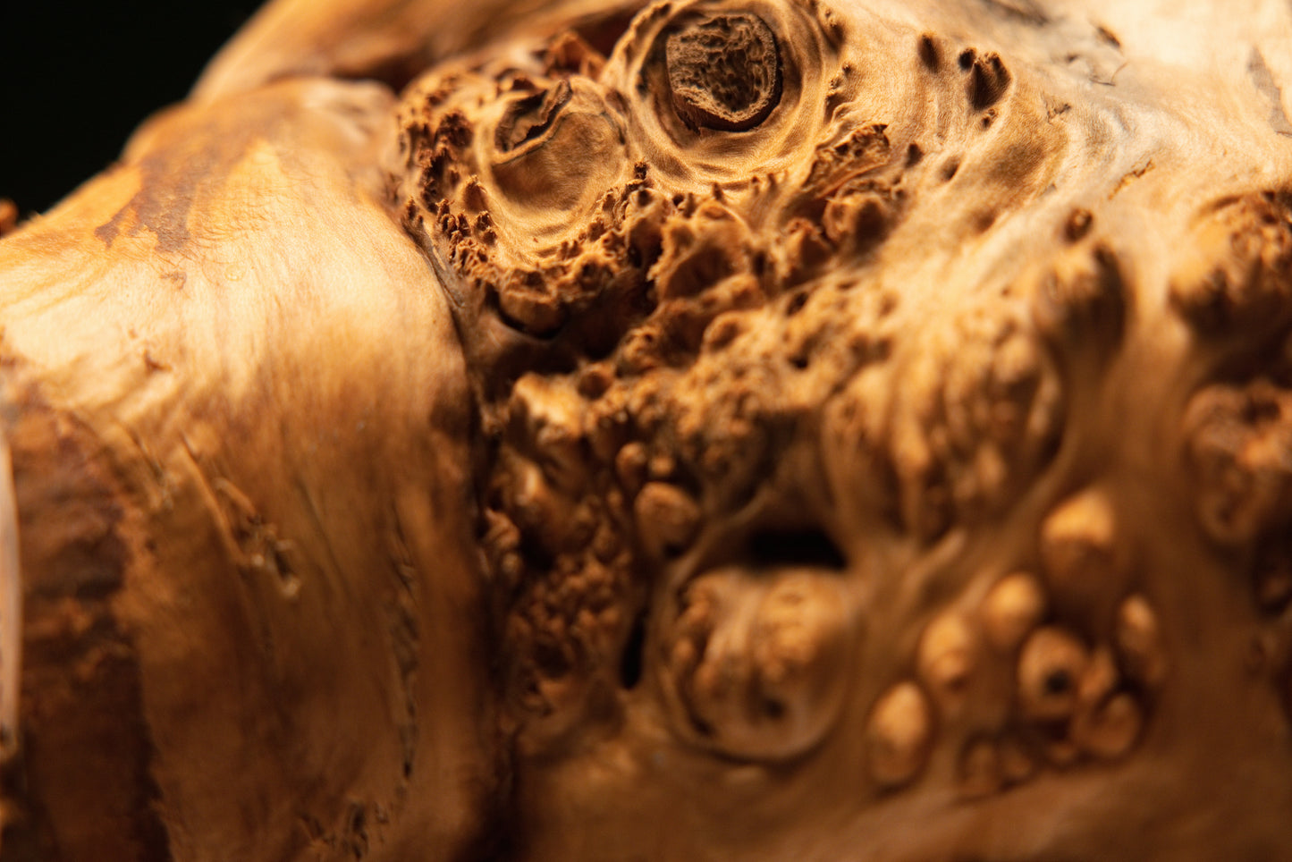 Close-up macro perspective view of intricate swirling wood grain surrounding dense amber burl eye formations on the piece.   