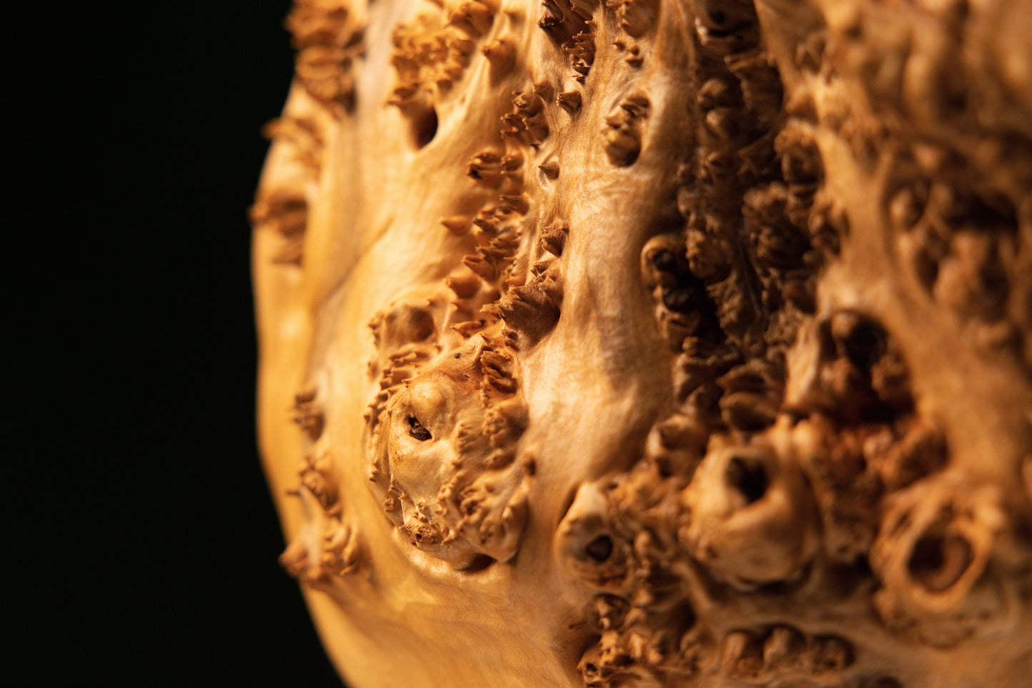 Detailed side profile macro photograph capturing the sculptural depth and rich textural contrast of the organic wooden burl piece.   