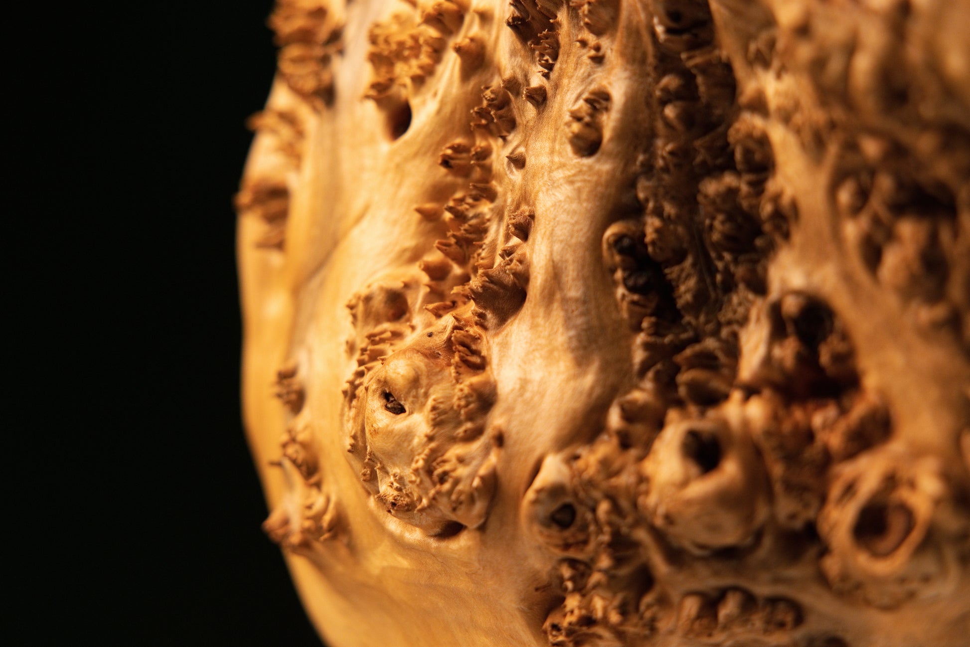 Detailed side profile macro photograph capturing the sculptural depth and rich textural contrast of the organic wooden burl piece.   