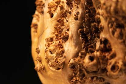 Detailed side profile macro photograph capturing the sculptural depth and rich textural contrast of the organic wooden burl piece.   