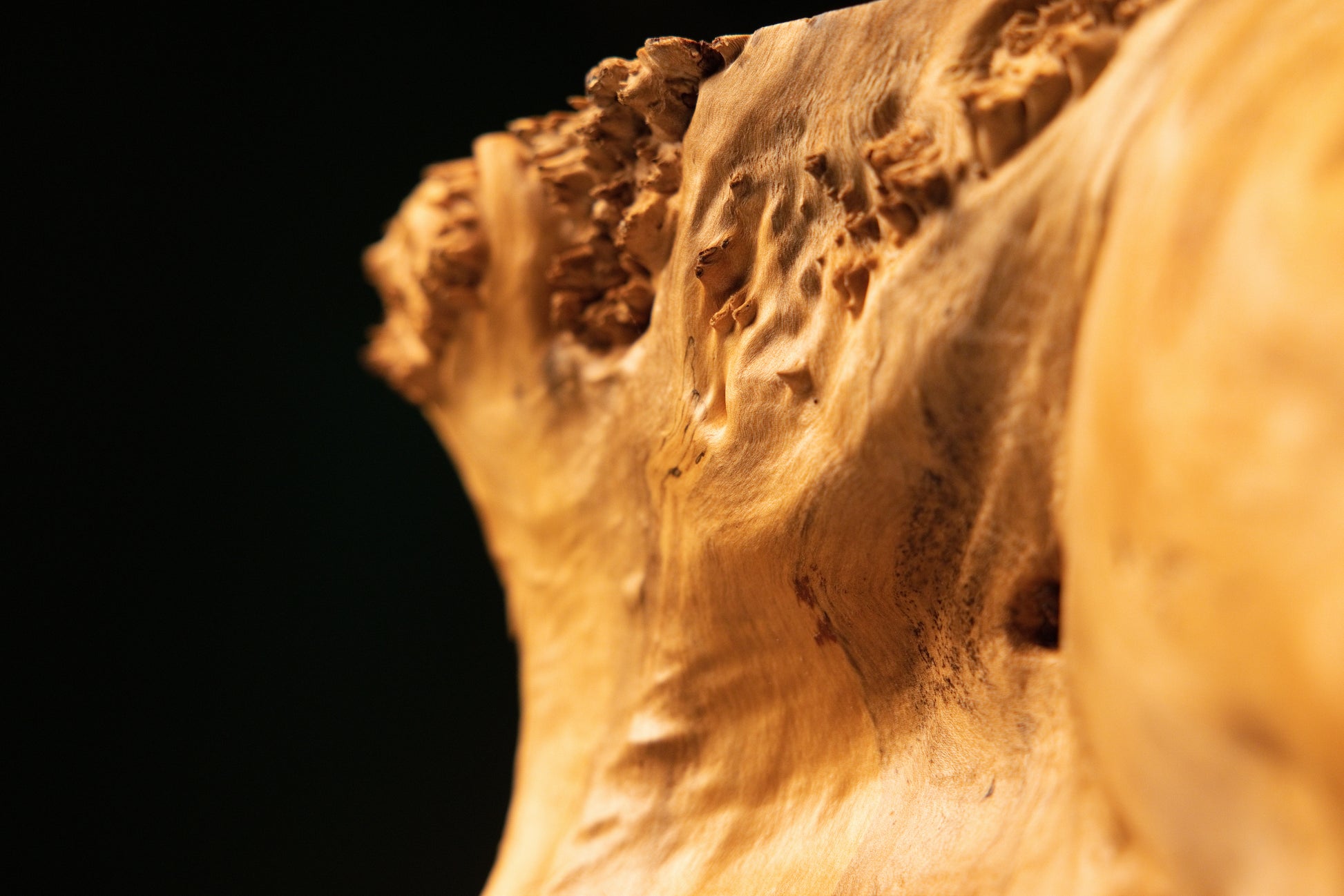 Detailed macro photograph highlighting a dark prominent wood knot embedded securely within complex amber burl formations.   