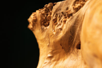 Detailed macro photograph highlighting a dark prominent wood knot embedded securely within complex amber burl formations.   