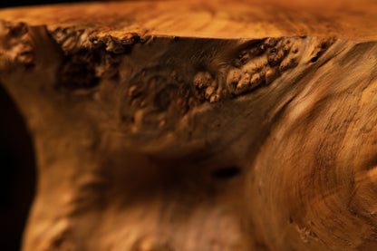 Detailed close-up macro photograph shot of a flat wooden surface displaying multiple distinct amber burl clusters and dark knots.   