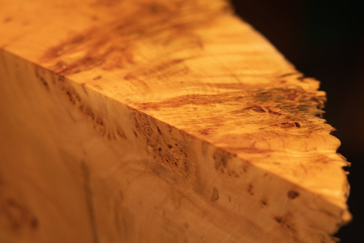 Detailed angled macro photograph view showing the seamless transition from flat polished timber planes to rugged organic burl.   