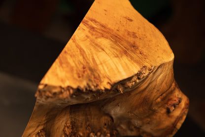 Detailed macro close-up view of rich warm amber burl textures illuminated dramatically against a stark black studio background.   