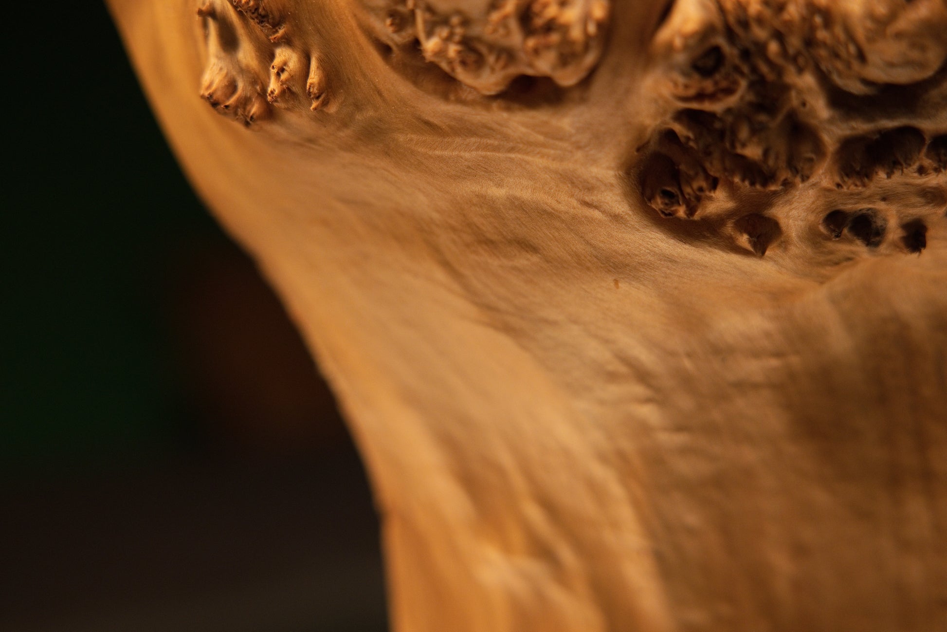 Extreme close-up macro photograph showcasing tactile relief textures and raised woody nodes across the organic burl sculpture.   