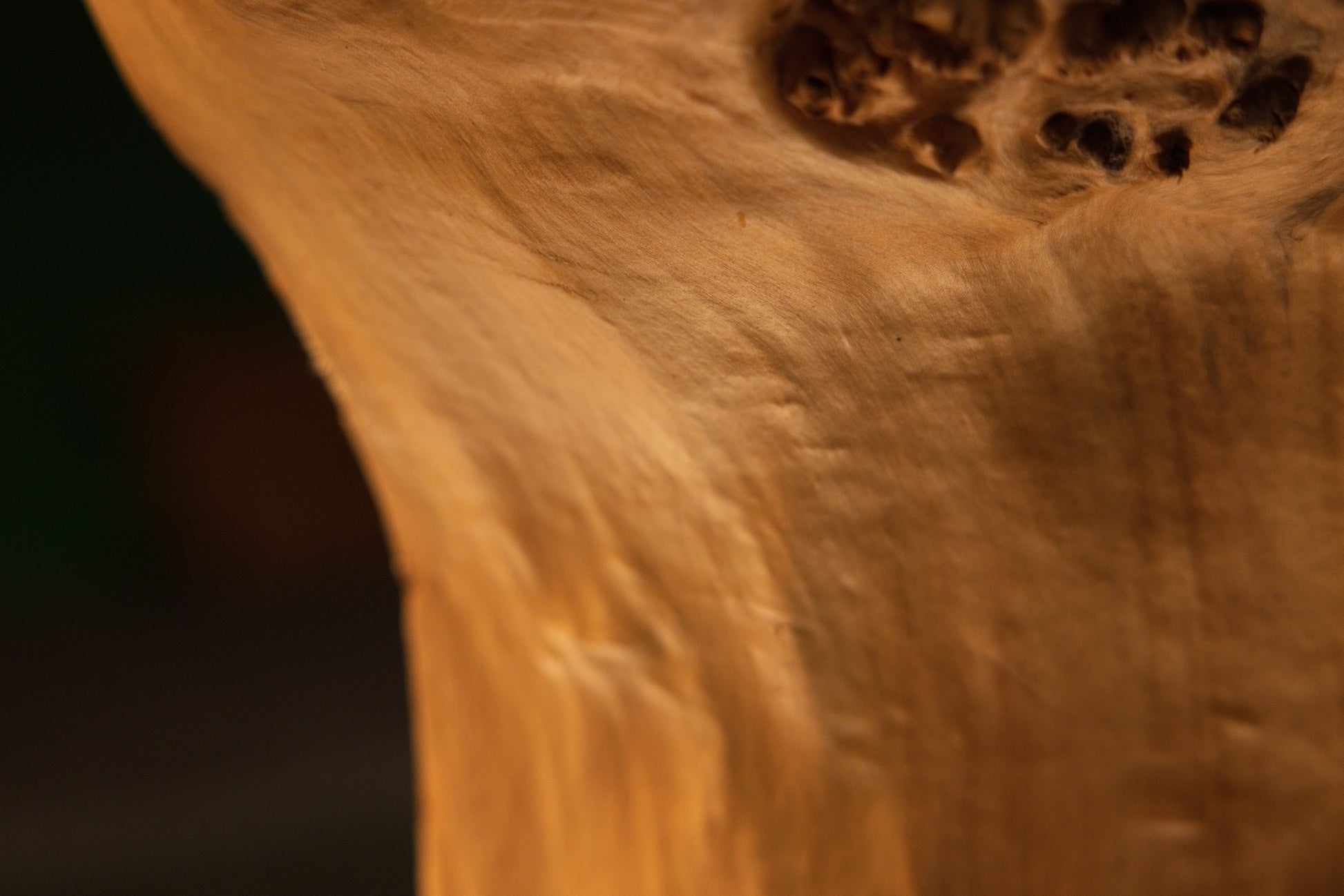 Detailed macro photograph capturing a deep cluster of dark organic knot eyes and hollow recessed crevices on the burl sculpture.   