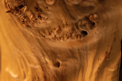 Rear flat panel perspective view of the solid burl wood block displaying scattered natural knot formations and warm tones.   