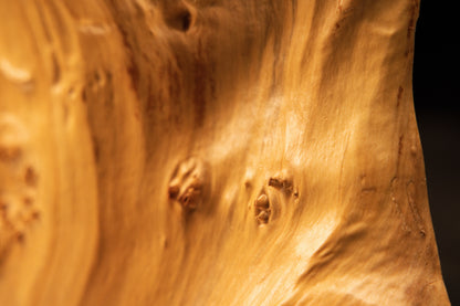 Angled rear perspective view of the architectural burl wood sculpture highlighting smooth golden surfaces and natural contours.   