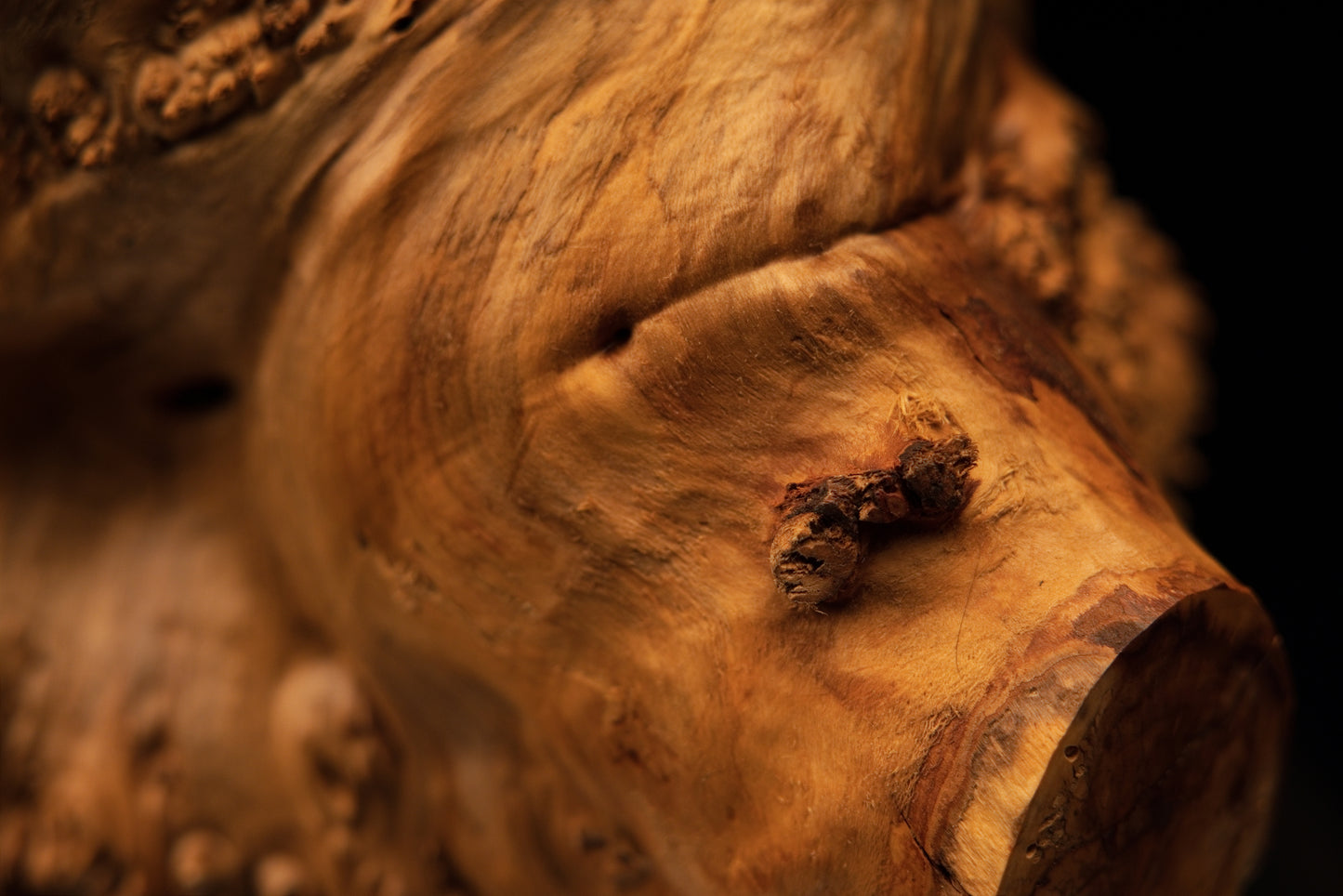 Detailed macro perspective view of fine wood grain patterns flowing around scattered organic burl formations on the slab.   