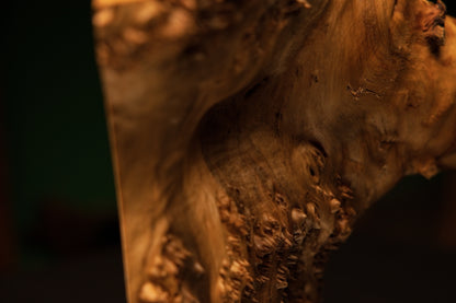 Detailed macro photograph capturing intricate natural patterns and organic irregularities across the face of the wooden burl.   