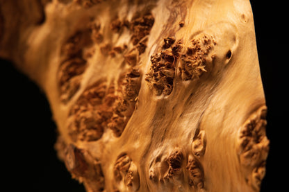 Detailed close-up macro perspective view tracking across flowing wooden contours toward a tight cluster of dark organic eyes.   