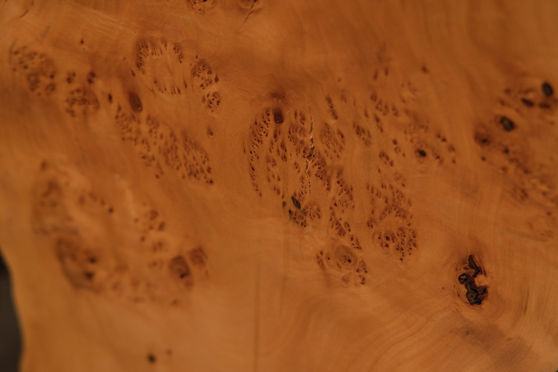 Detailed macro photograph shot of smooth undulating wood surfaces showcasing fine grain continuity and warm amber illumination.   