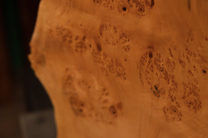 Detailed close-up macro photograph highlighting multiple small raised wood knots scattered across the smooth polished burl body.   