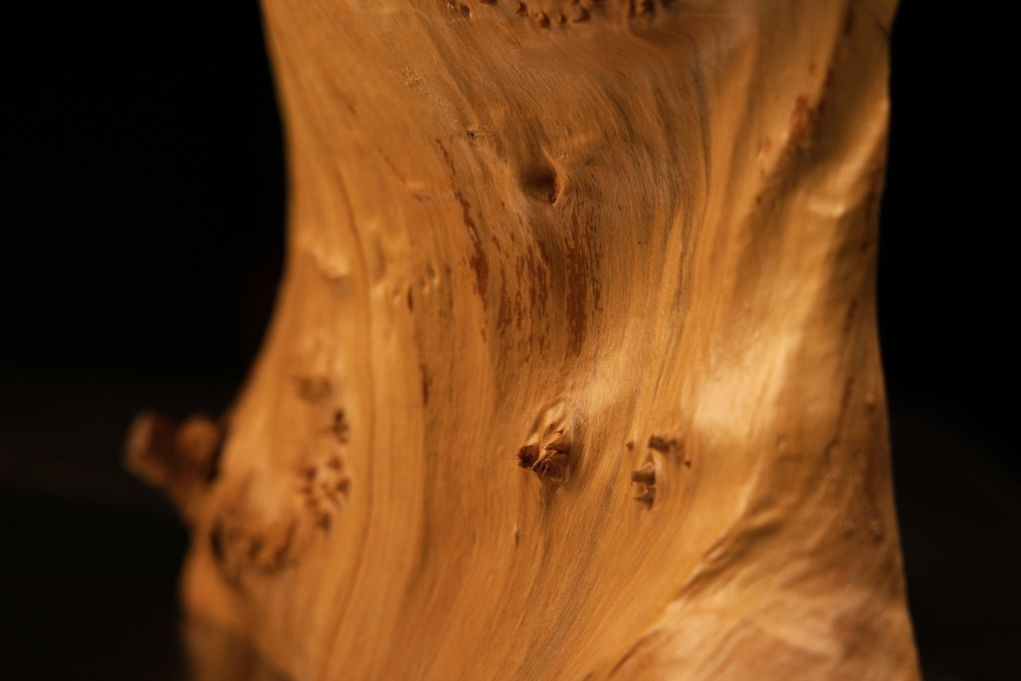 Detailed close-up macro photograph of prominent dark wood knots embedded near the lower base edge of the solid burl sculpture.   