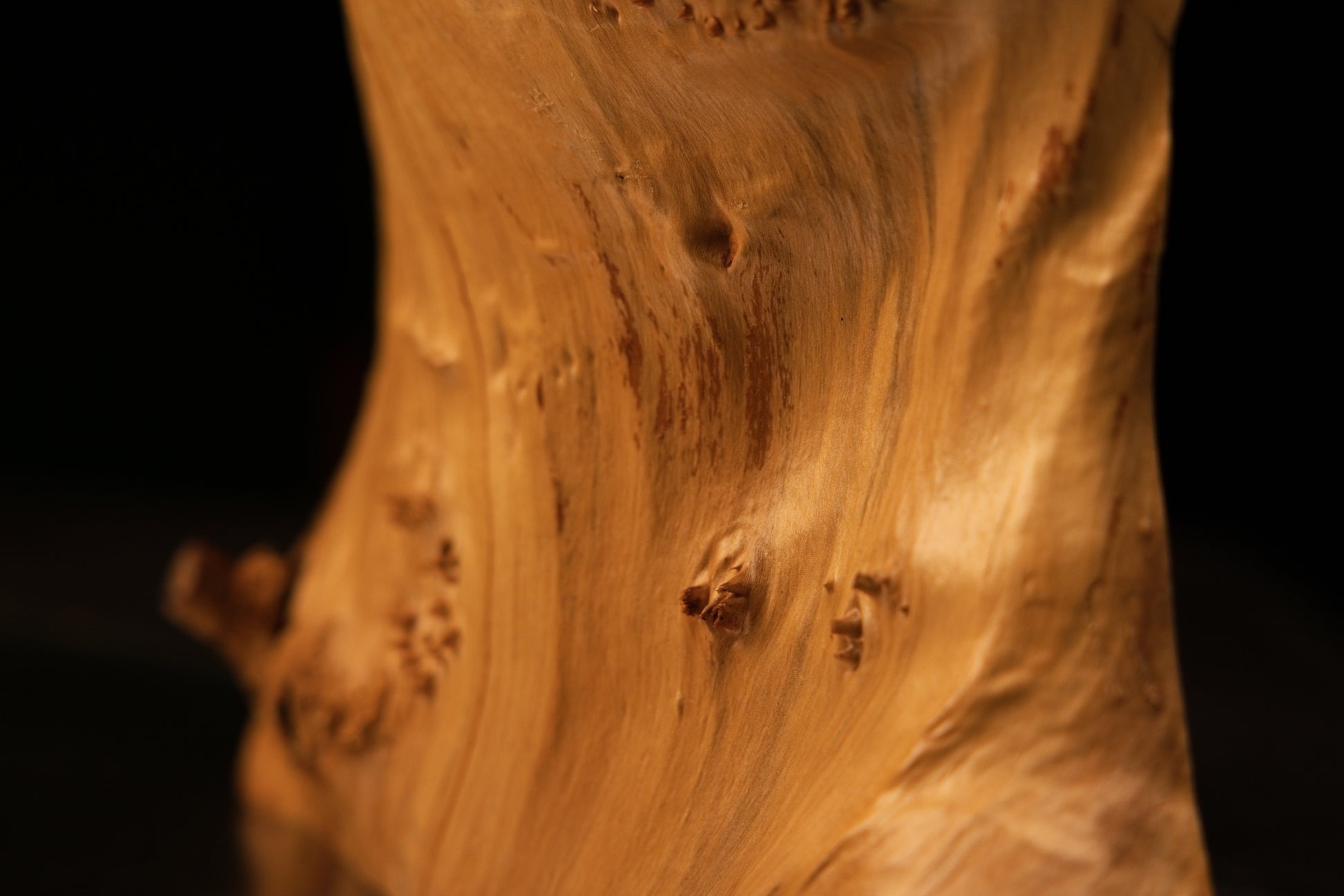 Detailed close-up macro photograph of prominent dark wood knots embedded near the lower base edge of the solid burl sculpture.   