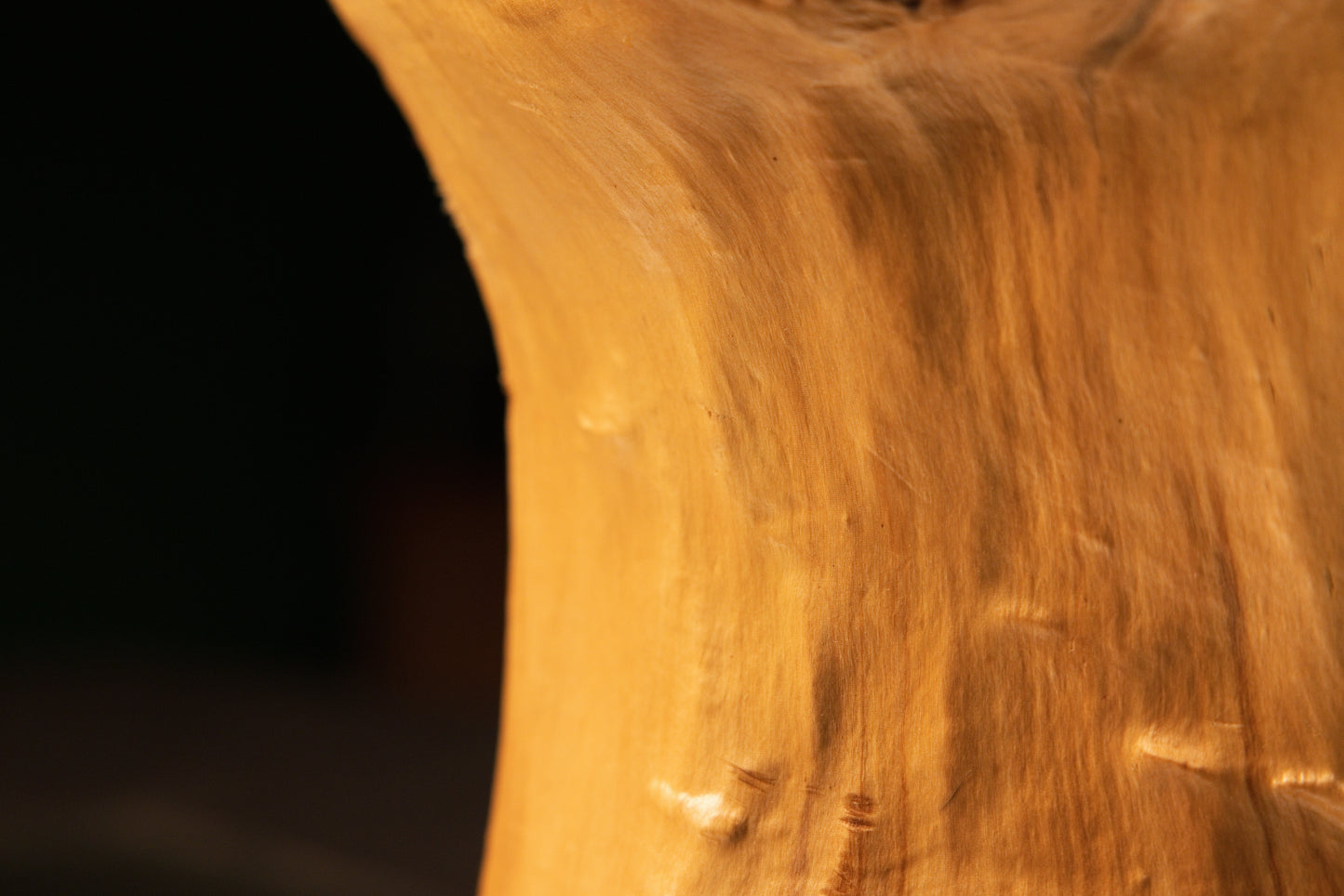 Detailed macro perspective view of smooth golden wood contours transitioning smoothly into textured burl clusters at the top.   