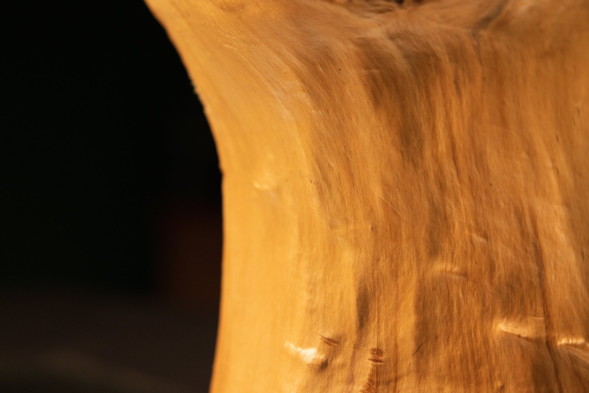 Detailed macro perspective view of smooth golden wood contours transitioning smoothly into textured burl clusters at the top.   