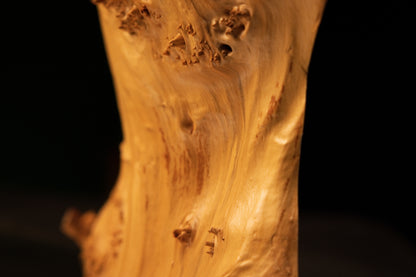 Detailed close-up macro photograph capturing dense clusters of organic burl eyes arranged symmetrically across a curved surface.   