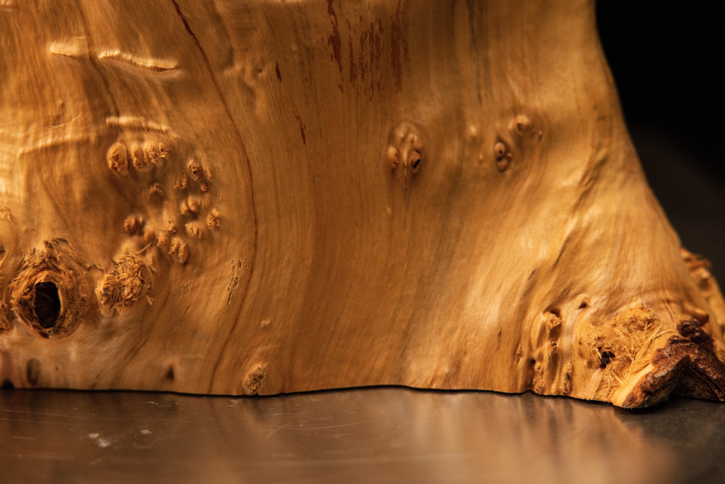 Macro close-up photograph focusing on the rounded end-grain of the protruding branch stub against a complex burl background.   