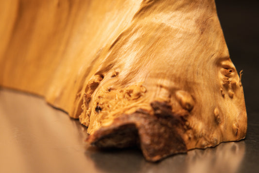 Frontal perspective view of a light-colored wooden burl sculpture featuring dense amber eye clusters and a prominent branch stub.   