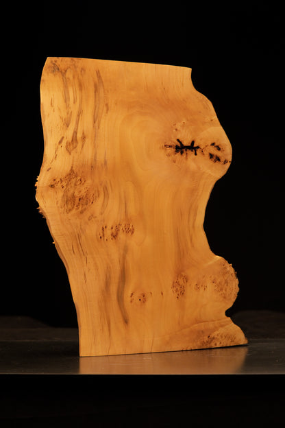 Extreme macro of the intricate burl face on a botanical heritage wood slab highlighting natural refractive properties and true hues.   