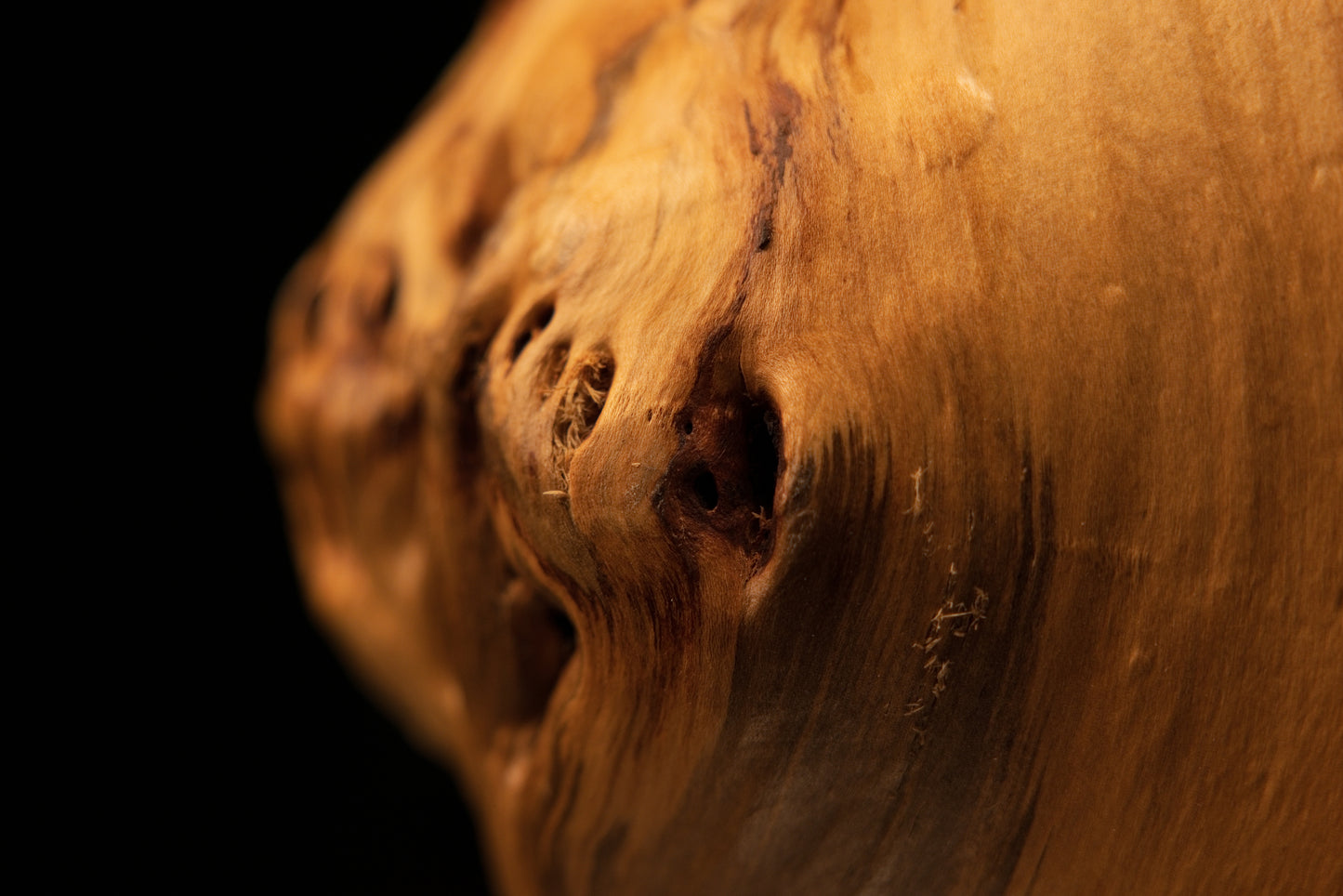 Extreme close-up of scattered biological anomalies and dark inclusions within a fully stabilized botanical structural wood piece.   