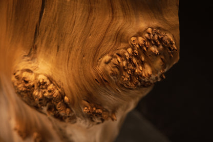 Close detail of a smooth projecting organic knot on an untreated relic-grade wood art piece demonstrating dimensional stability.   