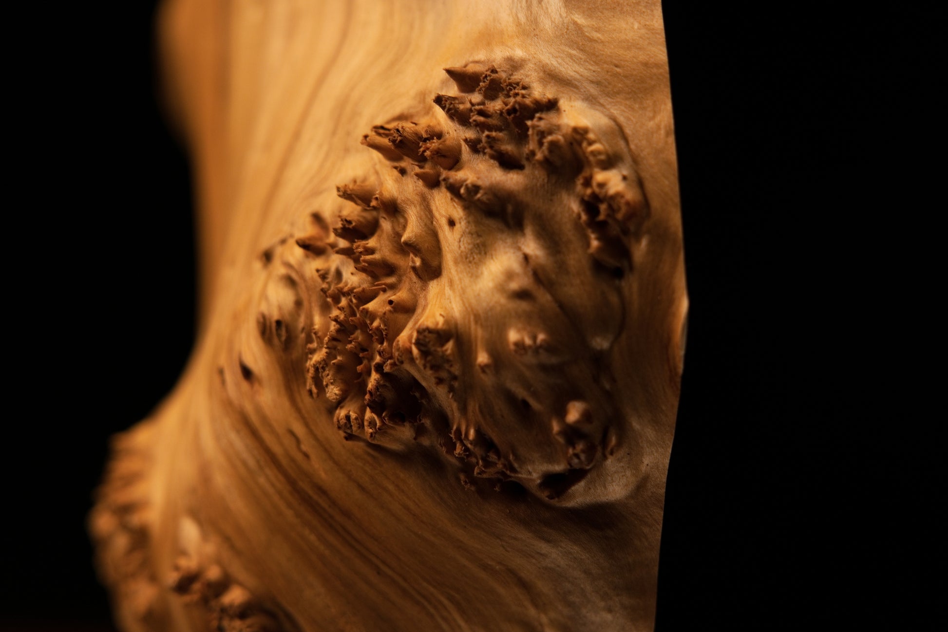 Base corner profile where the smooth flowing grain of the botanical wood element rests completely flat on a horizontal architecture.   