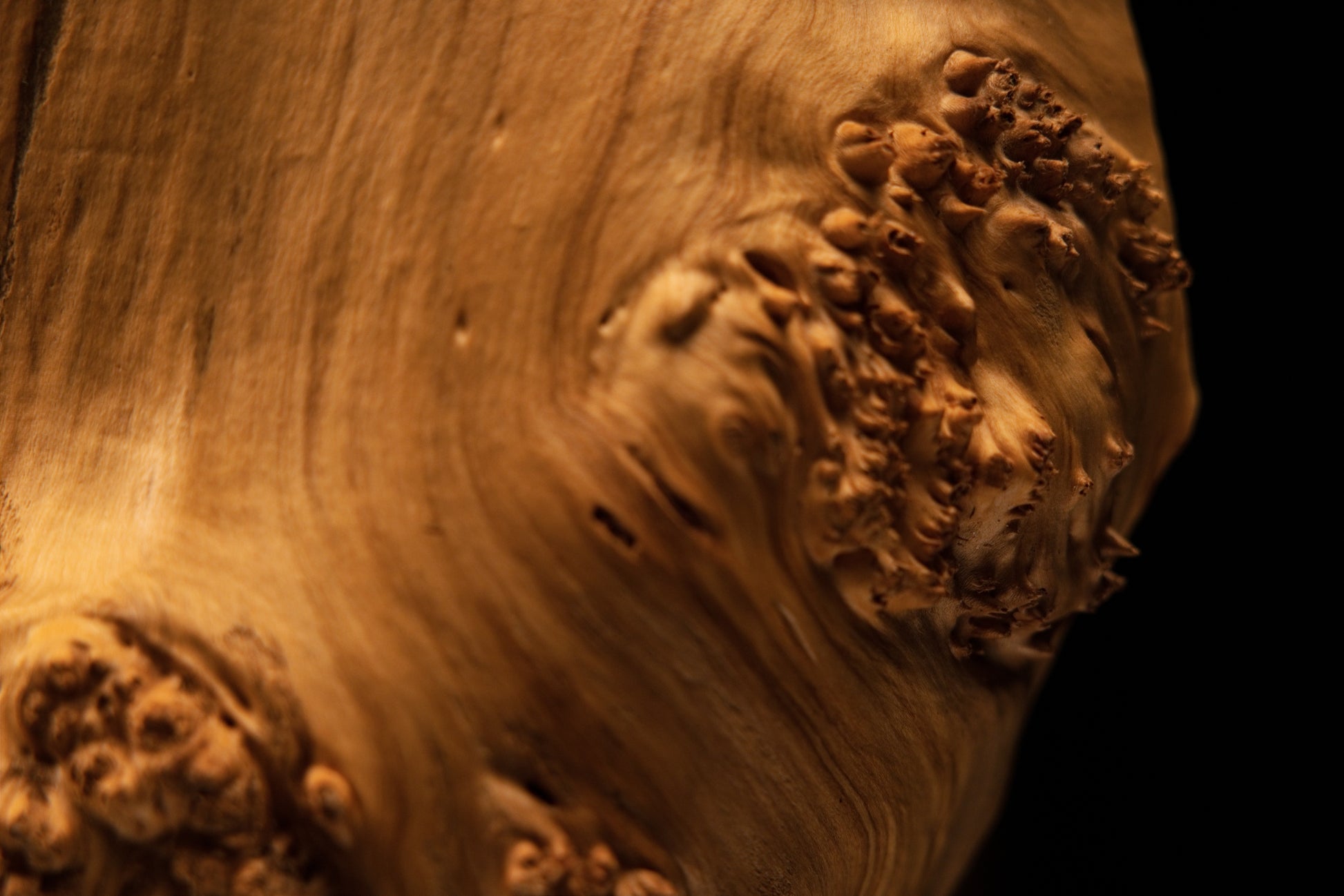 Close view of the crisp transition between flowing golden grain and a chaotic organic burl cluster on a heritage wood monolith.   